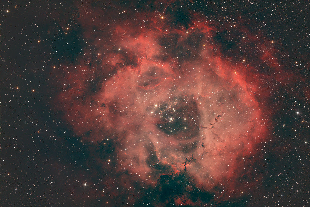 Rosette Nebula (NGC 2237)
